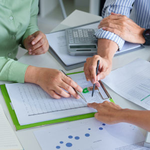 Sustainability consultants